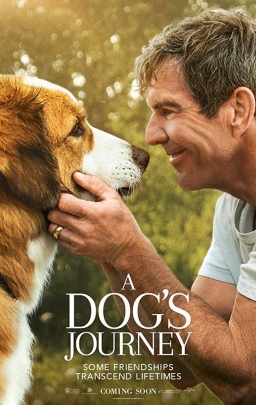 A DOG’S JOURNEY (2019) tainies Online with greek subs A DOG’S JOURNEY (2019) με ελληνικους υποτιτλους